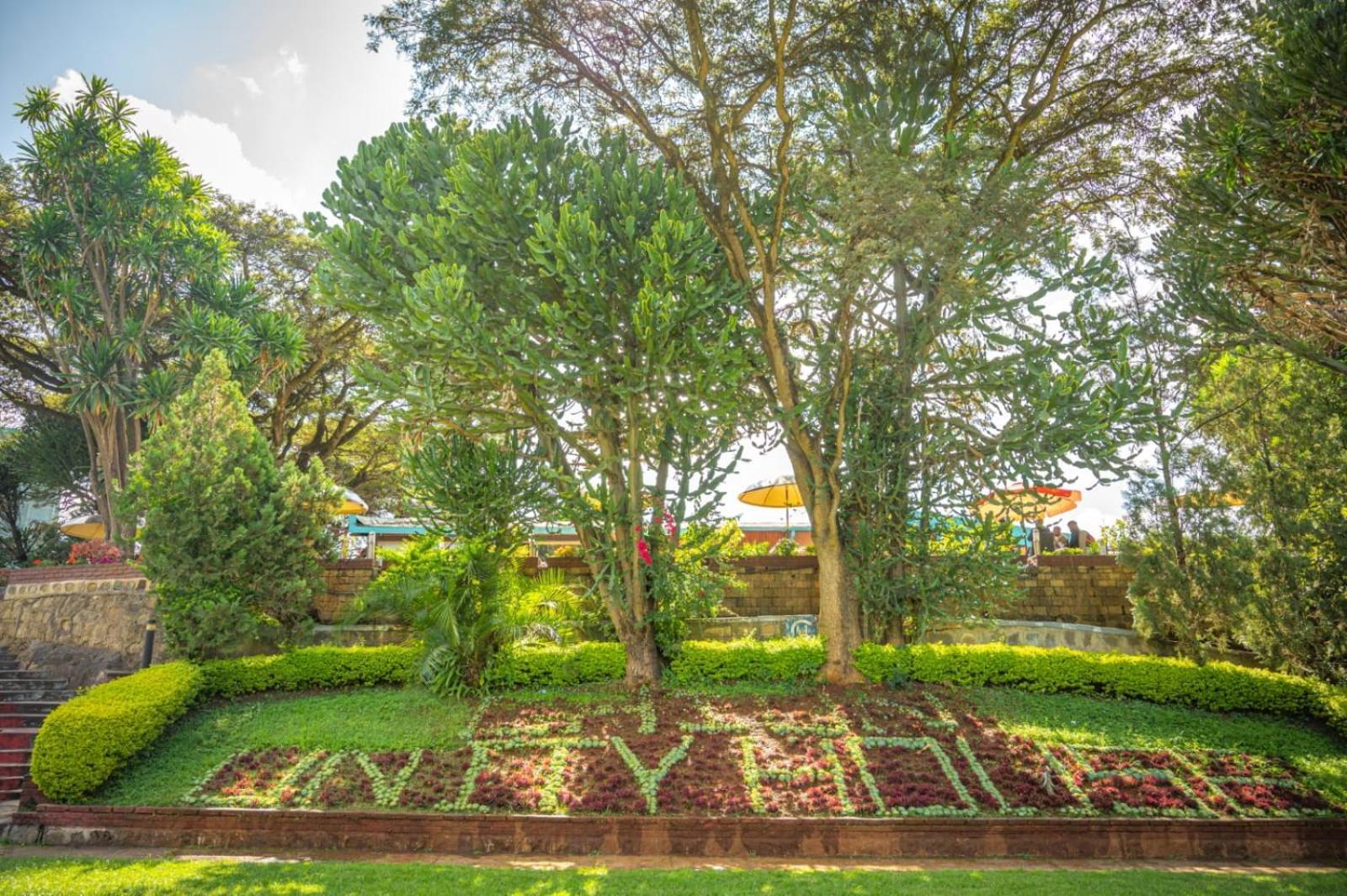 Ghion Hotel Addis Ababa Eksteriør billede