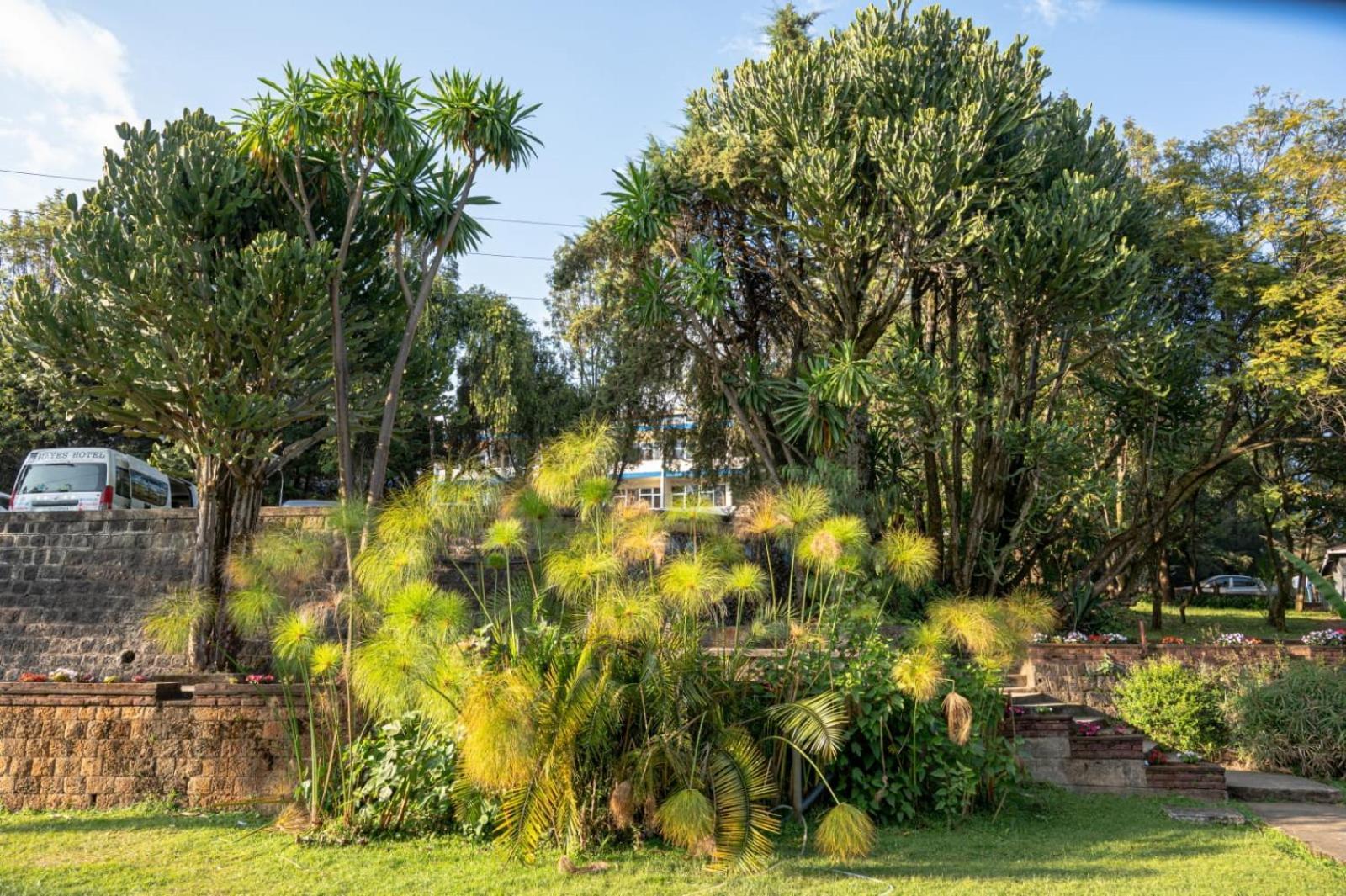 Ghion Hotel Addis Ababa Eksteriør billede